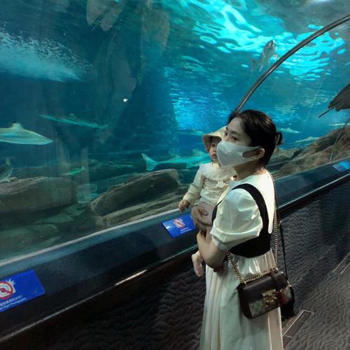 上海水族馆攻略_上海水族馆图片