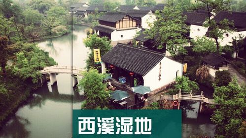 西溪湿地公园攻略_杭州西溪湿地公园攻略