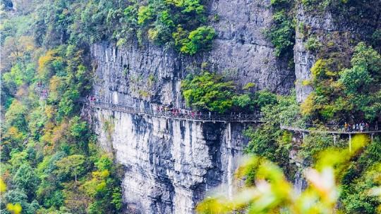 重庆金佛山门票_重庆金佛山门票优惠