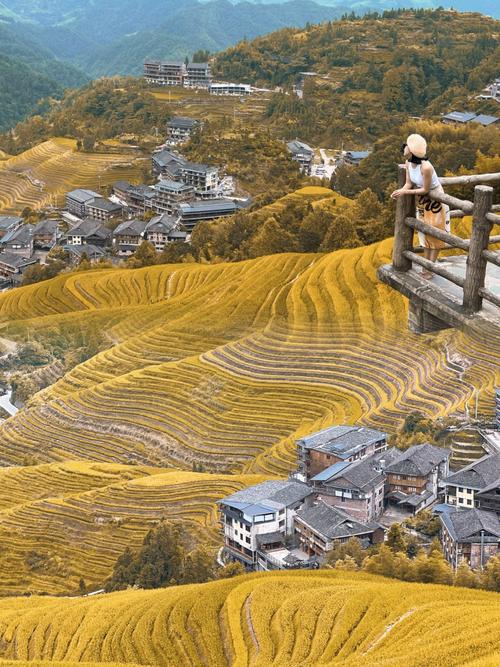 桂林到龙脊梯田一日游_桂林龙脊梯田一日游感言