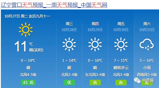 营口天气预报15天查询-营口天气预报15天查询结果