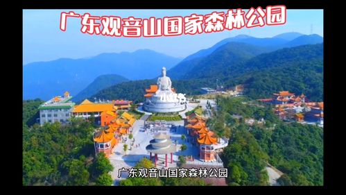 广东佛冈观音山国家森林公园-广东佛冈观音山国家森林公园开放吗